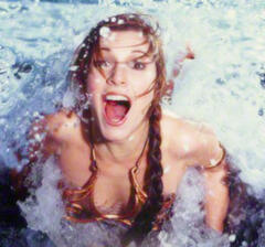 Leia Organa Solo Skywalker